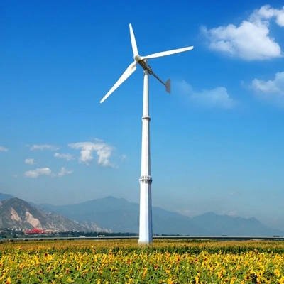 PV panelleri 380VAC Rüzgar Enerji Sistemi 3 Fazlı AC Daimi Mıknatıs