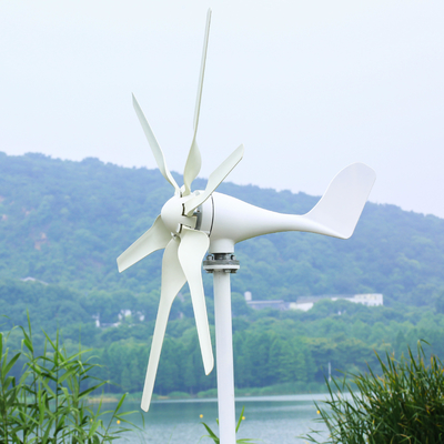 3KW Özelleştirilebilir Şebekeden Dışarı Ev Müzesi Rüzgar Türbini Ev İçin Güneş Rüzgar Hibrit Enerji Sistemi