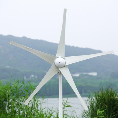 Rüzgar Enerjisi Sistemi Ev Hibrit Rüzgar Mühennisi Güç Jeneratörü Sistemi Doğrudan Satış 3KW/5KW/10KW